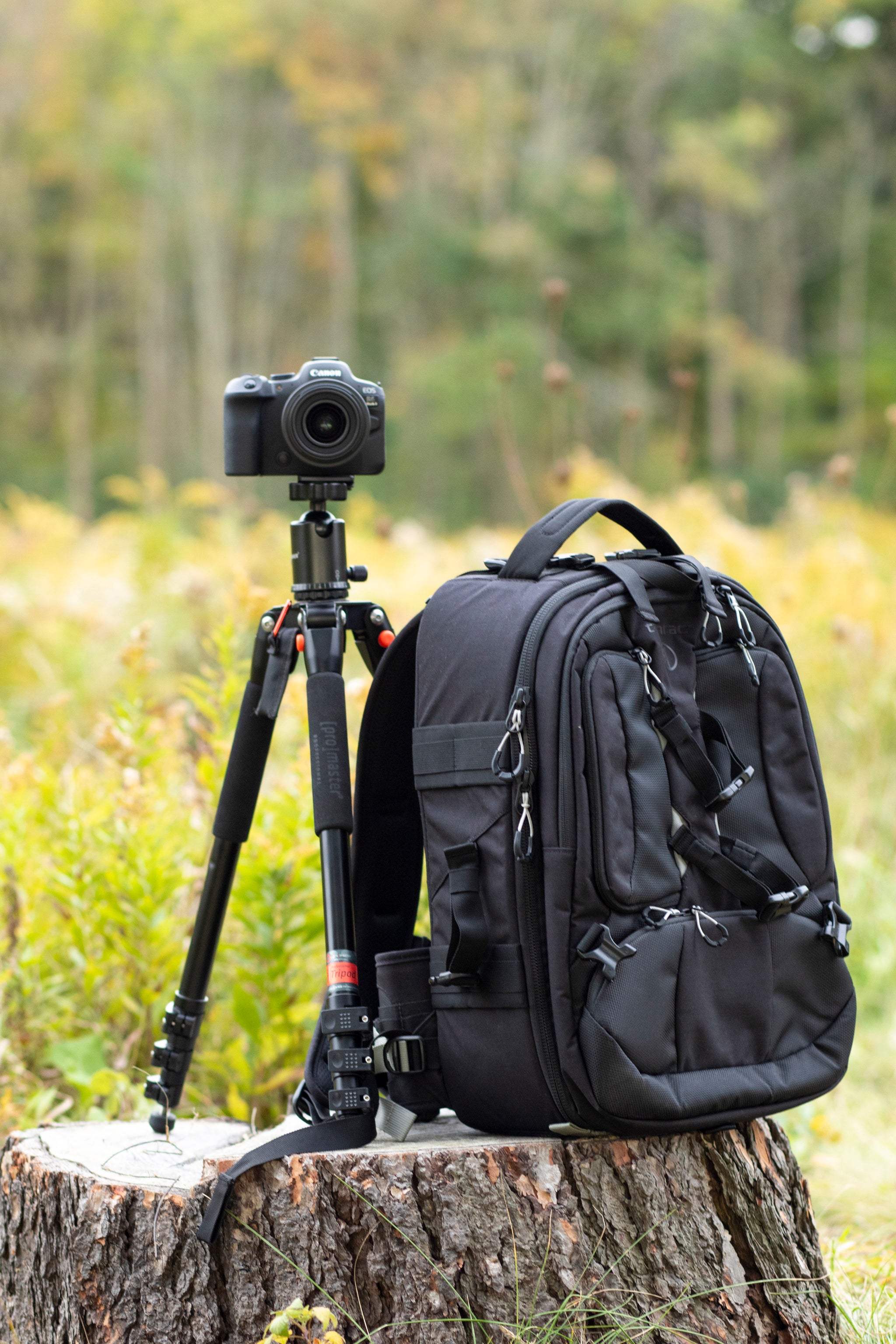 Choosing the Perfect Camera Bag